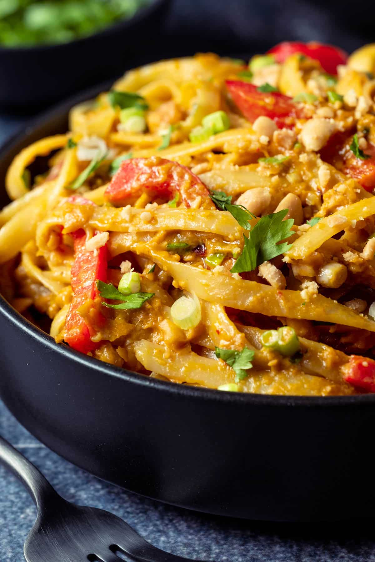 Vegan Thai Peanut Noodles – Loving It Vegan