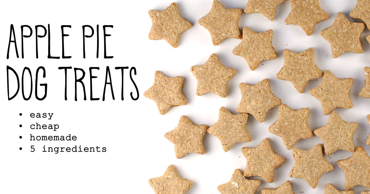 Apple Pie Dog Treats • It Doesn’t Taste Like Chicken