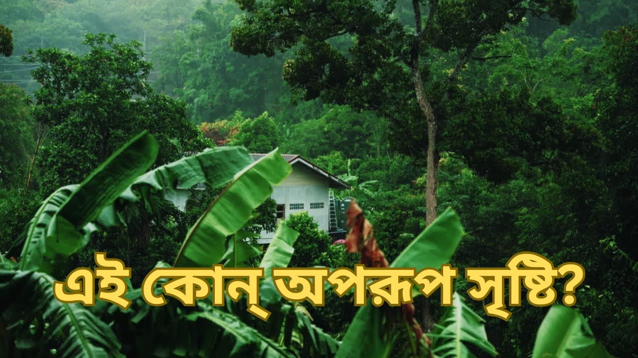 | এই কোন্ অপরূপ সৃষ্টি? |