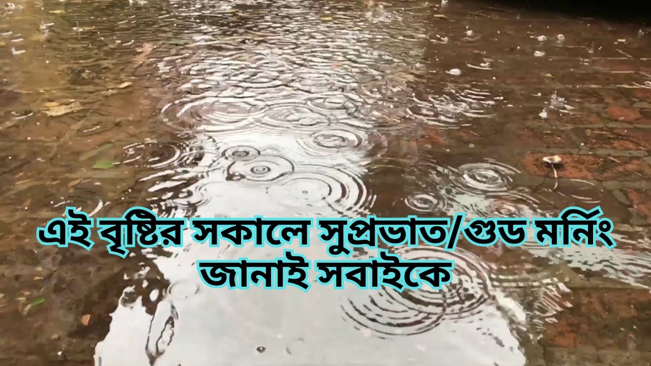 | এই বৃষ্টির সকালে সুপ্রভাত/গুড মর্নিং জানাই সবাইকে |