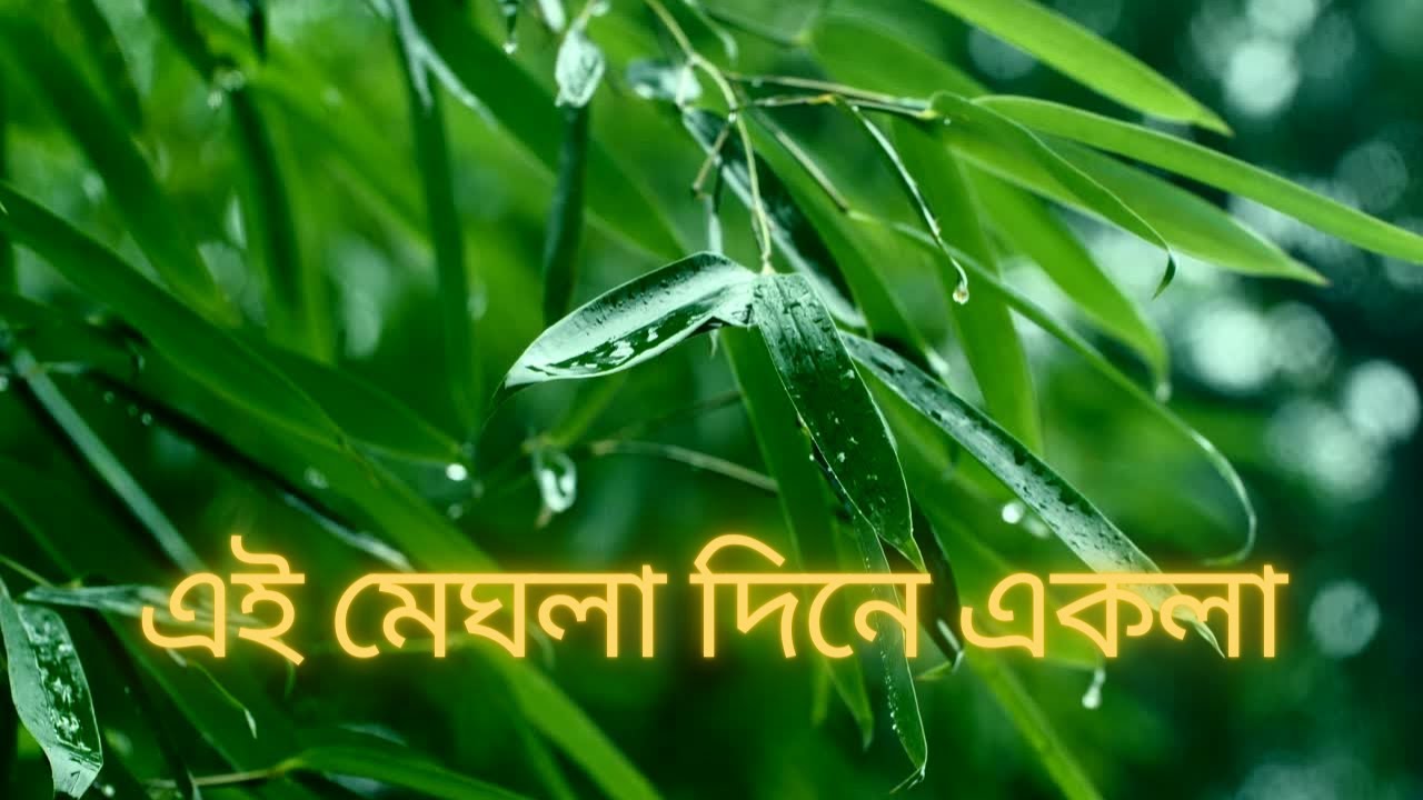 | এই মেঘলা দিনে একলা |