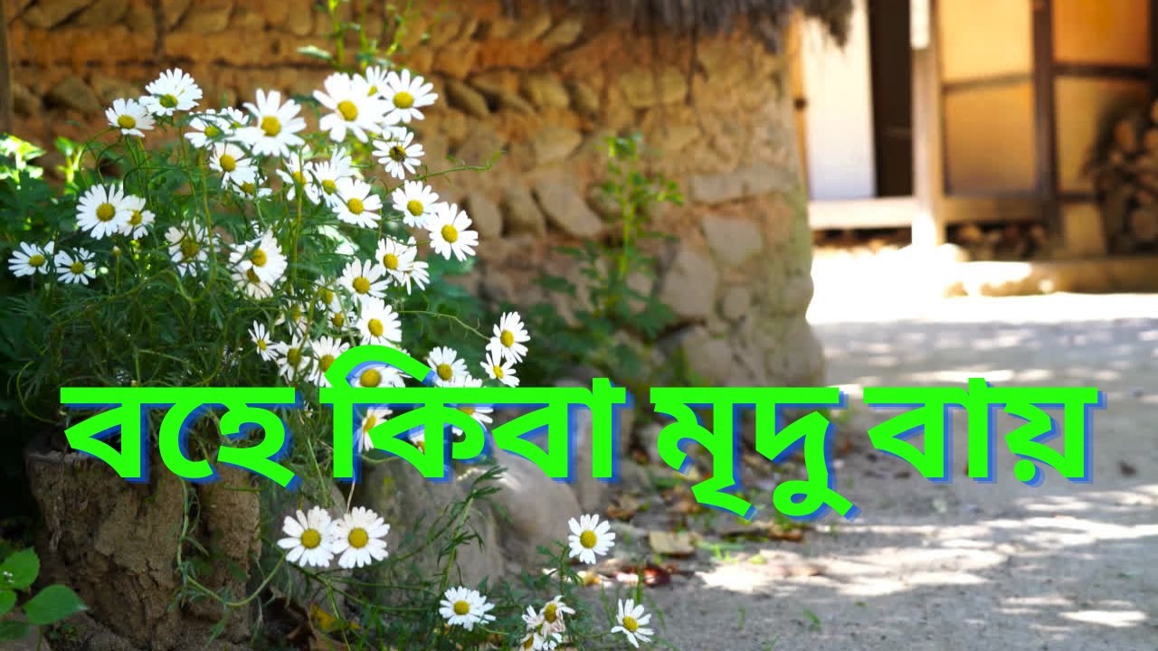 | বহে কিবা মৃদু বায় |