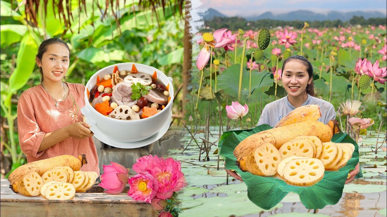 Harvesting Fresh Lotus Root – Simple, Nutritious Recipes for…