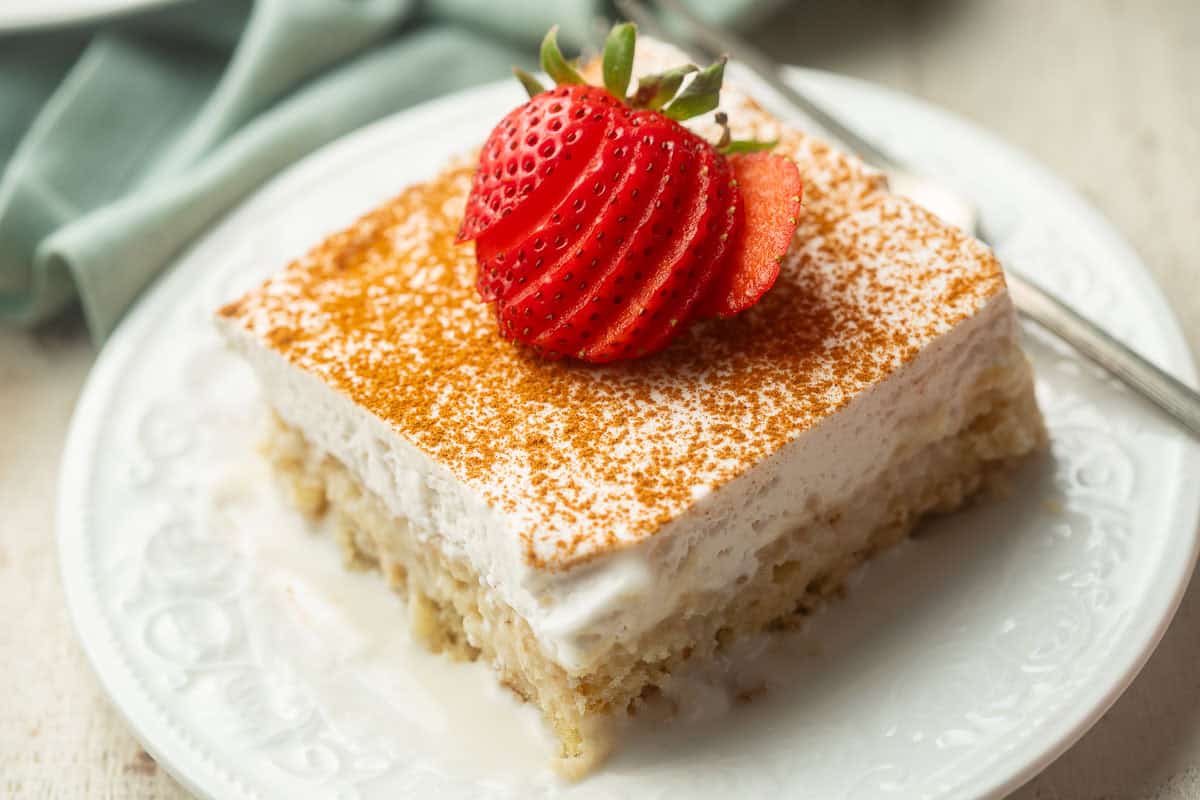 Vegan Tres Leches Cake – Connoisseurus Veg