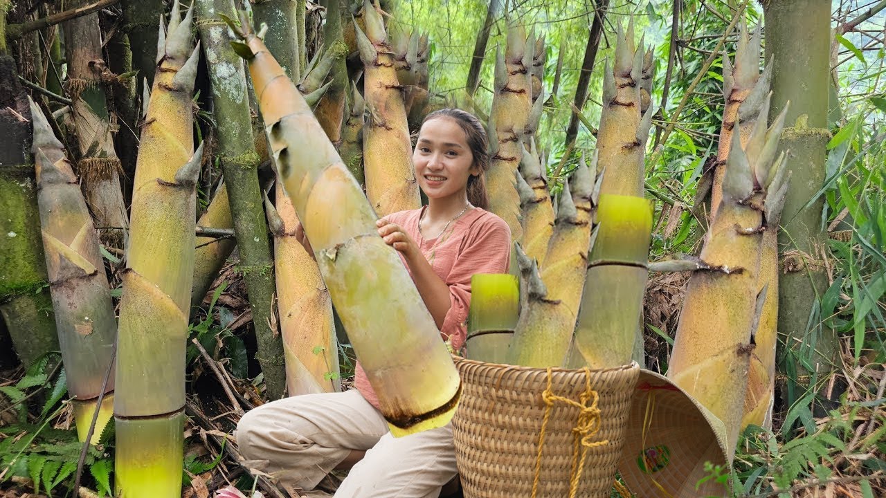 Harvesting Fresh Bamboo Shoots – Healthy Recipes for Daily M…