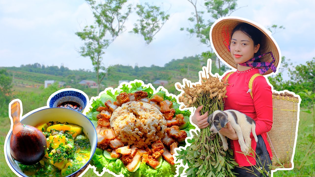 Harvesting  Peanut – Making Dishes From  Peanut | Phượng&#39…