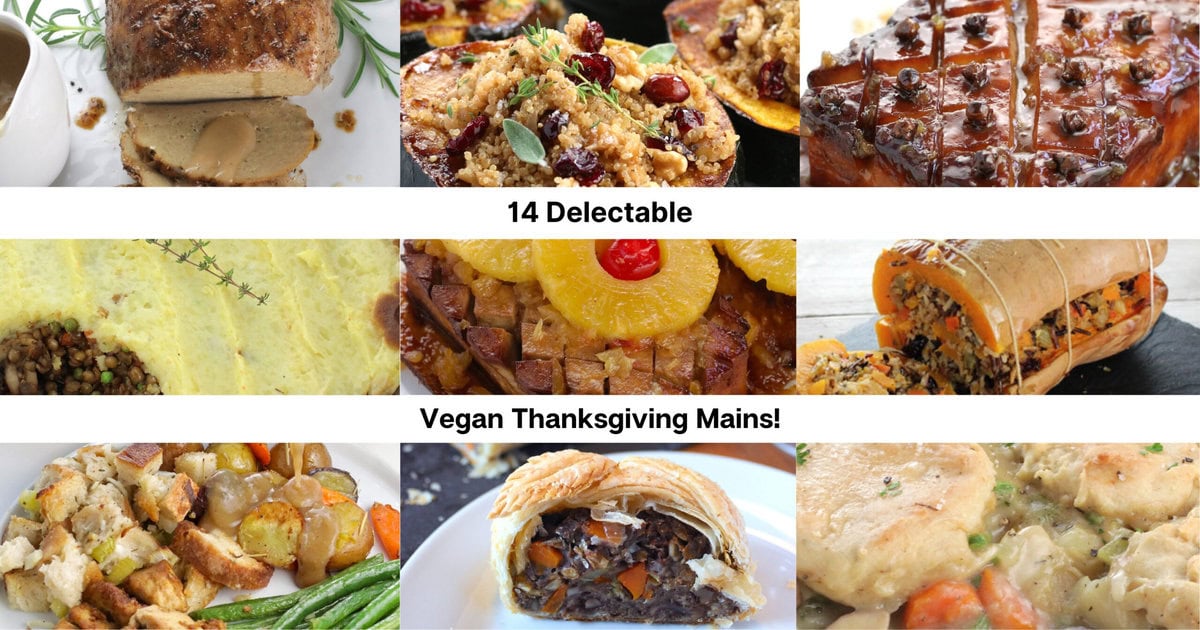 14 Vegan Thanksgiving Main Dishes!             • It Doesn’t …